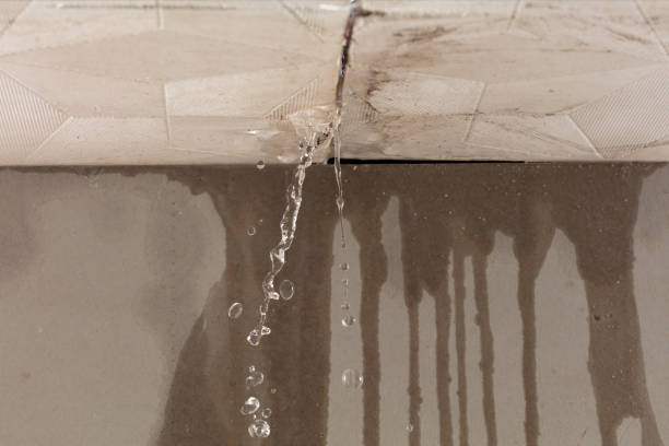 Professional Structural Drying technician working in Oakland, NJ